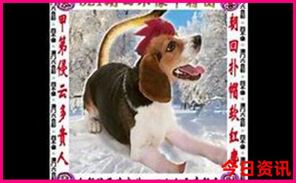 重庆市区旅游景点分布图